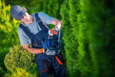 Man cutting hedge