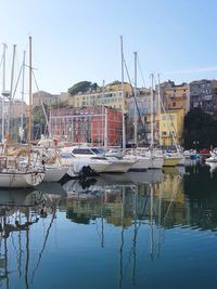 Sailboats moored at harbor against clear sky