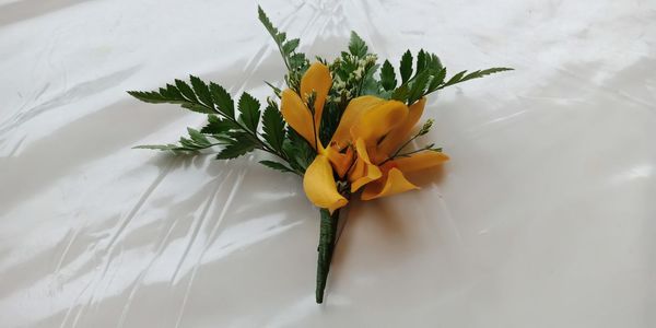 High angle view of yellow flowering plant