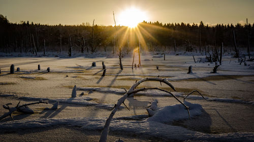 Scenic view of snow covered field against sky during sunset