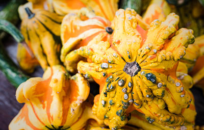 Close-up of yellow flowering plant