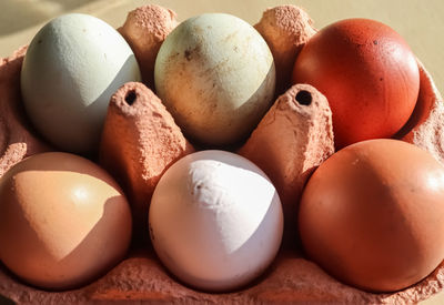 Selective focus view at a box with eggs in brown green and white colors