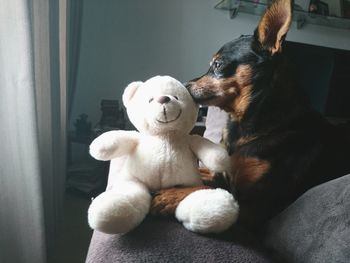 Close-up of dog sitting on bed at home