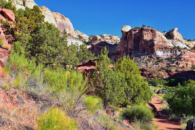 Lower calf creek falls views from hiking grand staircase-escalante national monument boulder utah