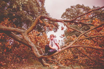 Full length of young man sitting on tree branch during autumn