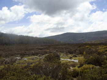 Scenic view of landscape against sky