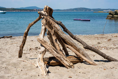 Driftwood on beach