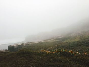 Scenic view of field against sky during foggy weather