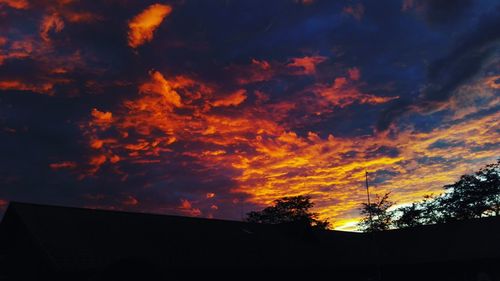 Silhouette of trees against dramatic sky