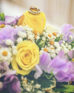 Close-up of yellow roses