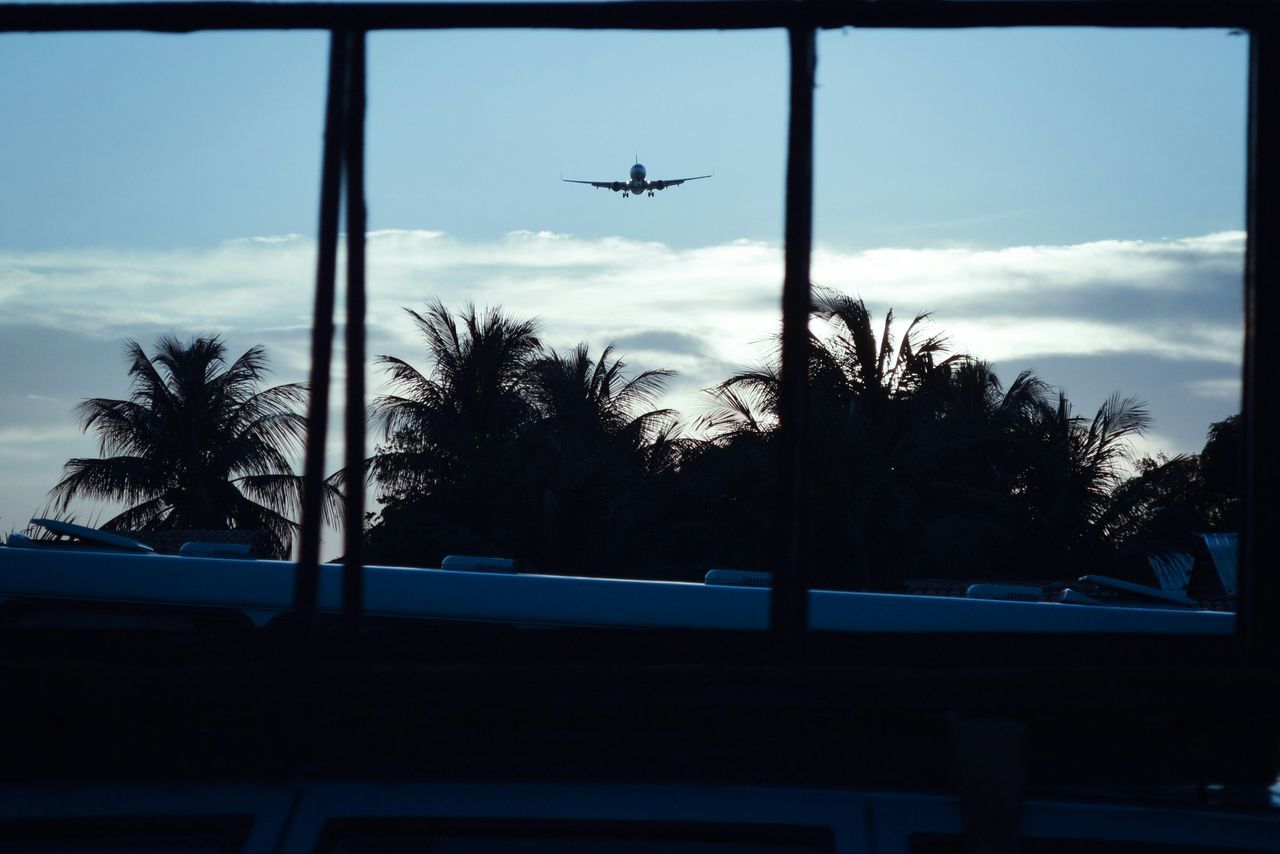 tree, transportation, sky, window, silhouette, mode of transport, glass - material, car, transparent, cloud - sky, indoors, land vehicle, cloud, road, flying, vehicle interior, street light, airplane, looking through window, nature