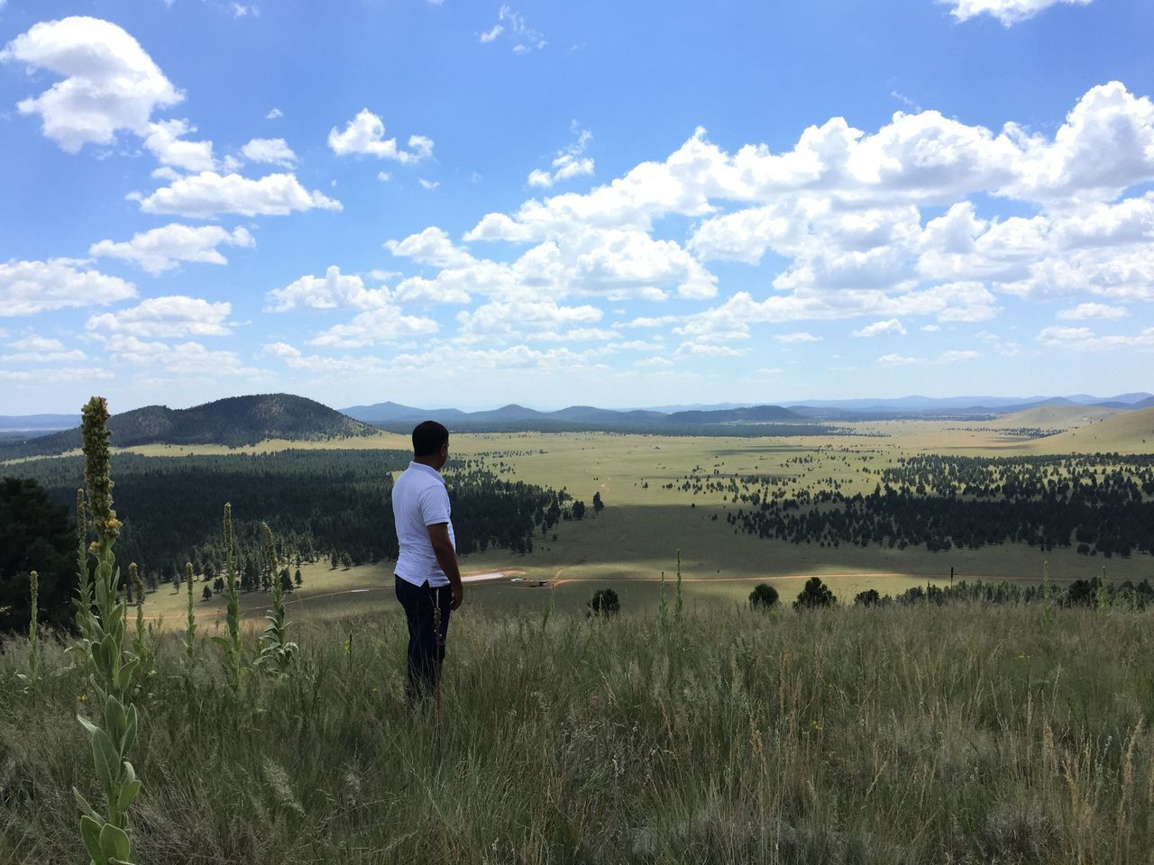 REAR VIEW OF MAN STANDING ON FIELD AGAINST SKY