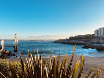 Scenic view of sea against clear sky