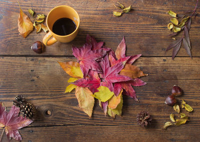 High angle view of maple leaves on table