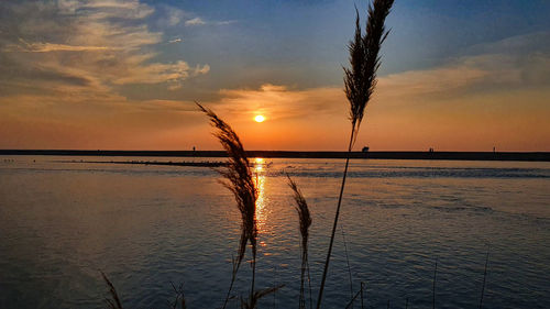 Scenic view of sea against sky during sunset