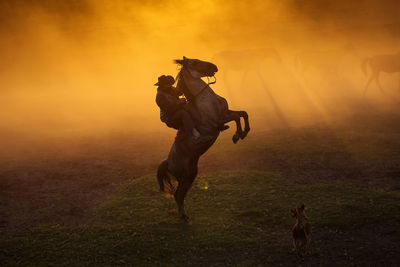 Man running on field during sunset