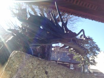 Low angle view of trees against sky