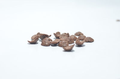 Close-up of coffee beans against white background