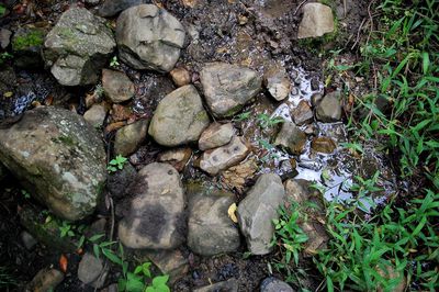 High angle view of rocks on field