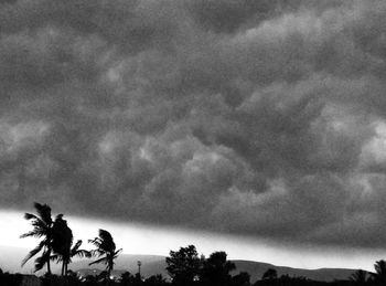Low angle view of silhouette palm trees against sky