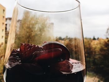 Close-up of sunglasses against blurred background
