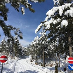 Road passing through snow covered mountain