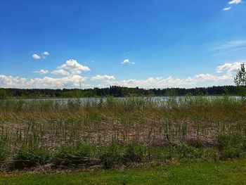 Scenic view of field against sky