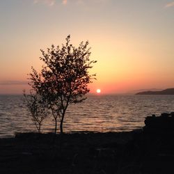 Scenic view of sea at sunset