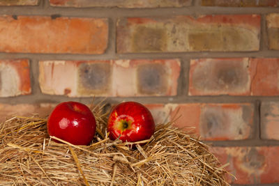Close-up of red tomatoes against wall
