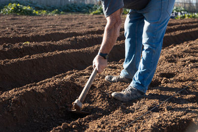 Low section of man working at farm