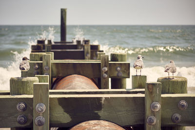 Wooden posts on beach against sky