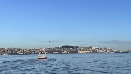 Sailboats in sea by buildings against clear blue sky