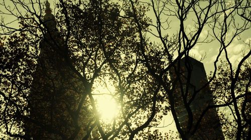 Low angle view of silhouette trees against sky