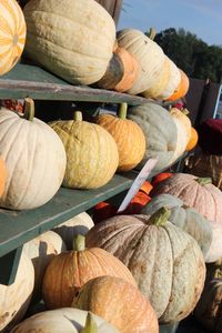 Close-up of pumpkins for sale at market stall