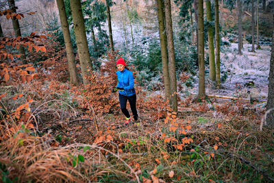 Full length rear view of man walking in forest