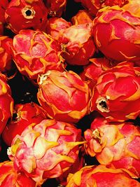 Full frame shot of red flowers