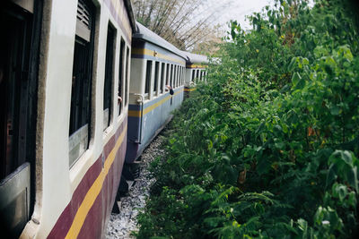 Train amidst plants