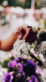 Close-up of hand holding purple flowering plant