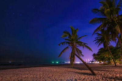 Palm trees on beach against sky at night