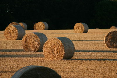 Hay bales on field