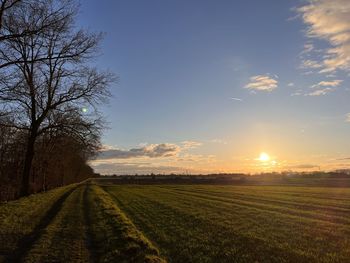 sky