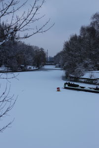 Bare trees on snow covered landscape