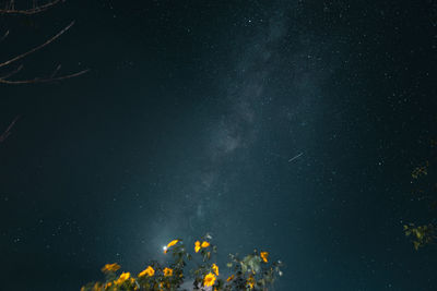 Low angle view of star field against sky at night