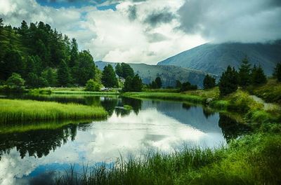 Reflection of trees in lake