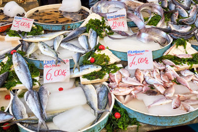 Fish and seafood in bowls at a market in naples