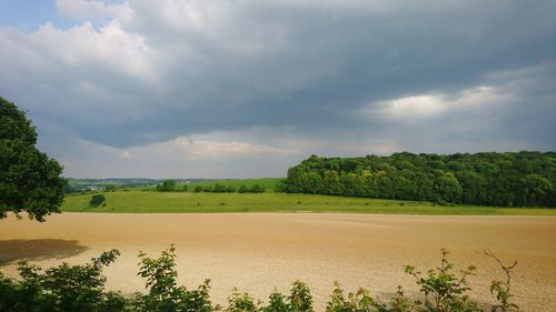 Scenic view of field against sky