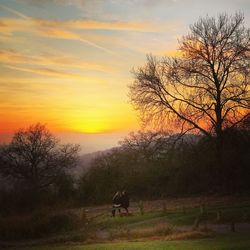 Silhouette of horse on field against sky at sunset