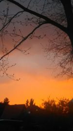 Silhouette of trees at sunset