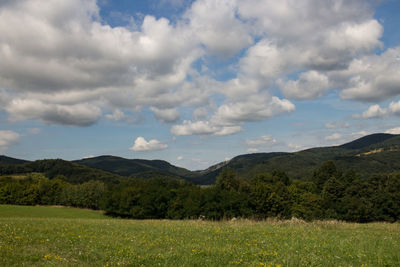 Landscape with mountain range in background