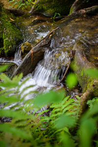 Scenic view of waterfall